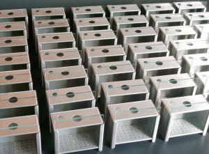 Bee study cages