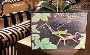Stick insect print Stick insect print