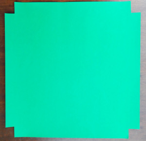 Green disposable AUC Liner