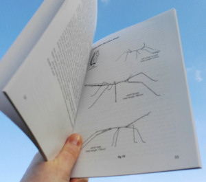 Inside "Keeping Stick Insects" book