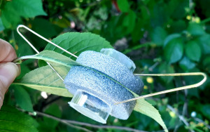 The Clip Cage enables observation on both sides of the leaf