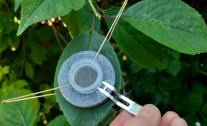 The 3-point fixing system ensures a tight seal around the leaf