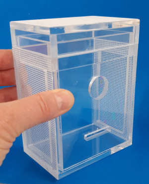 Small cage for flies