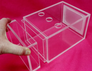 Clear fly cage