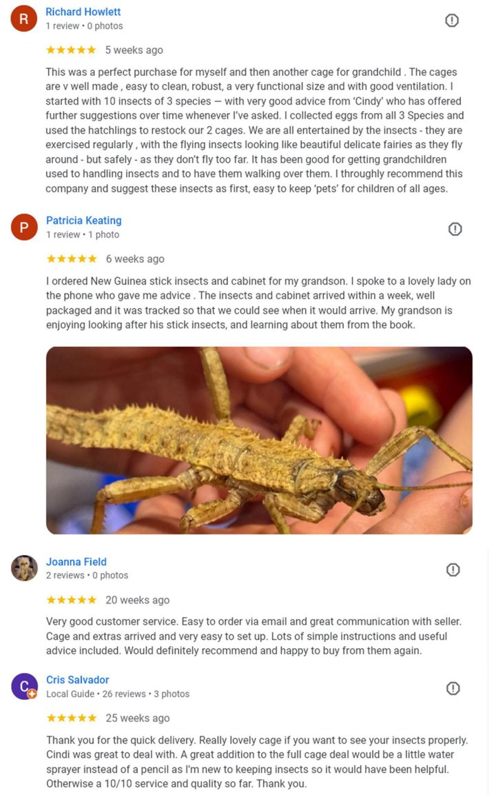 Google reviews - all 5 star Google reviews - all 5 star