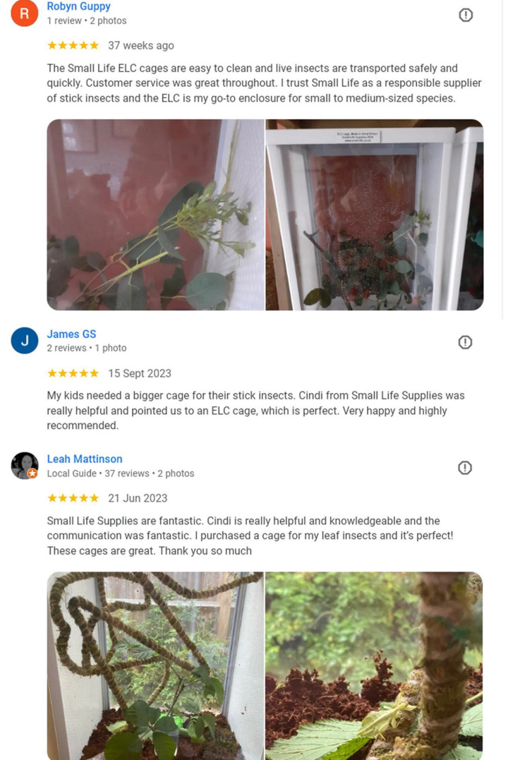 Google reviews - all 5 star Google reviews - all 5 star